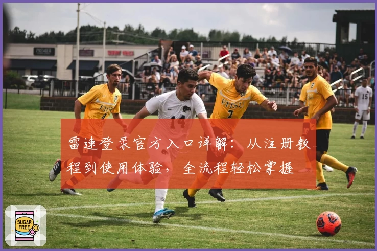 雷速登录官方入口详解:从注册教程到使用体验,全流程轻松掌握